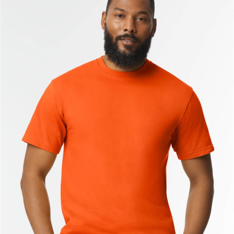 Unisex Softstyle® Midweight T-Shirt – 65000